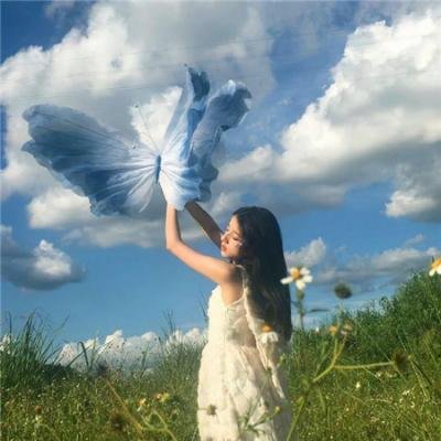 枯山水的波纹