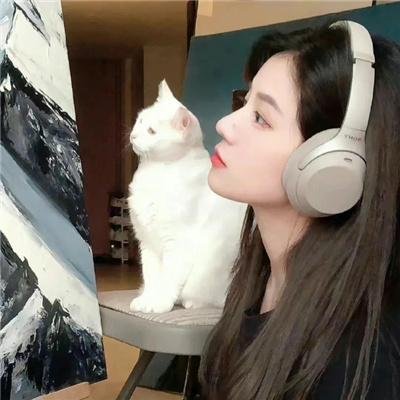 喋血杀阵